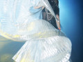 04.02.2012 - MASQUERADE