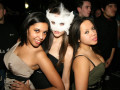 MASQUERADE - TOM NOVY 08.01.2011 
