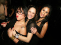 MASQUERADE - TOM NOVY 08.01.2011 
