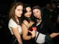 MASQUERADE - TOM NOVY 08.01.2011 