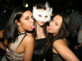 MASQUERADE - TOM NOVY 08.01.2011 