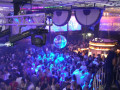MASQUERADE - TOM NOVY 08.01.2011 