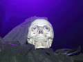 29-10-2016 - Big Halloween Revolution